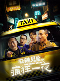 麻辣兄弟之疯狂一夜海报